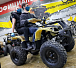Квадроцикл PROMAX ATV 250 (2025) в Томске
