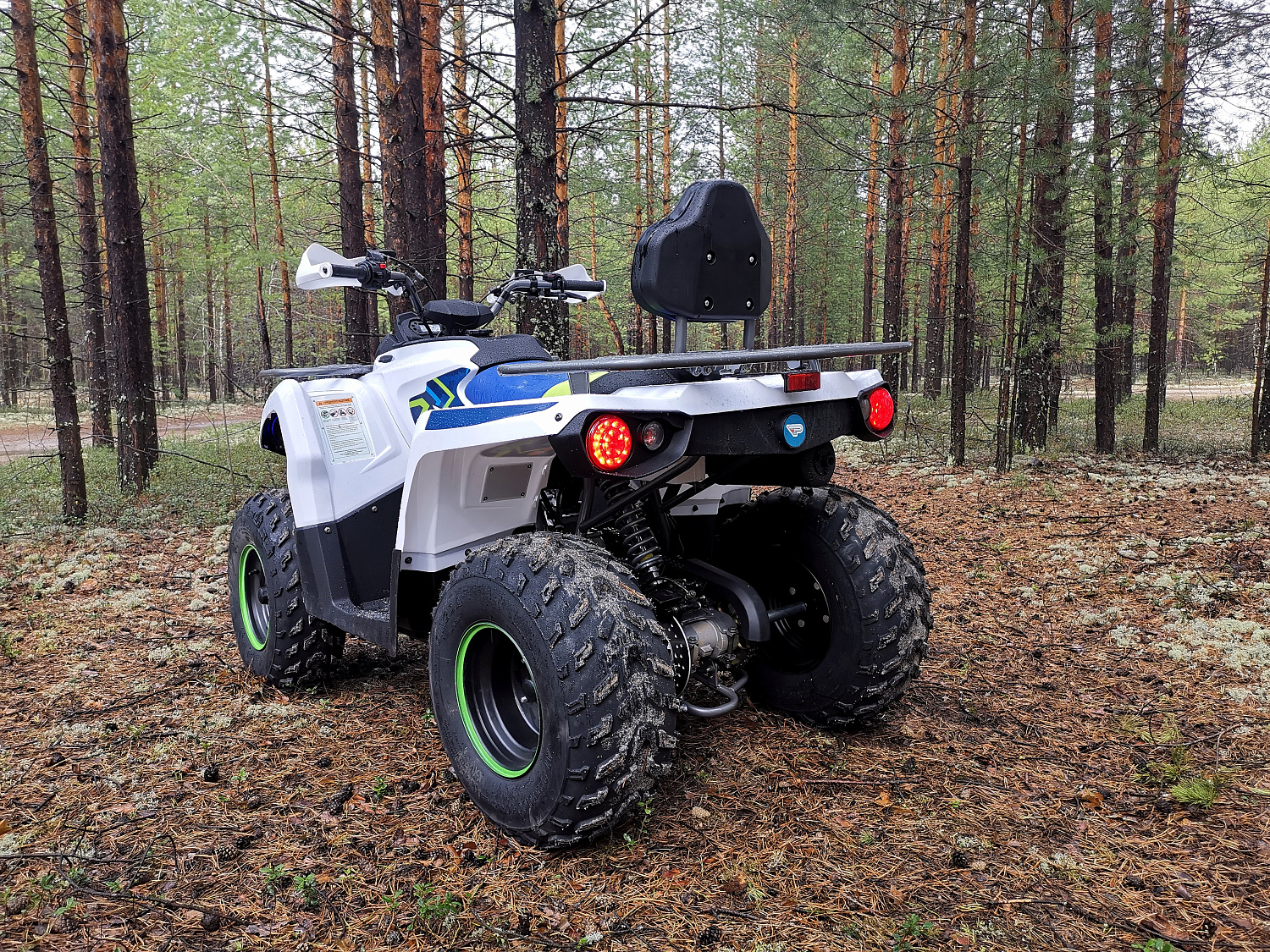 Квадроцикл PROMAX RENEGADE 280 (2025) в Томске