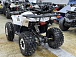 Квадроцикл PROMAX WILD 2.0 190 LUX в Томске