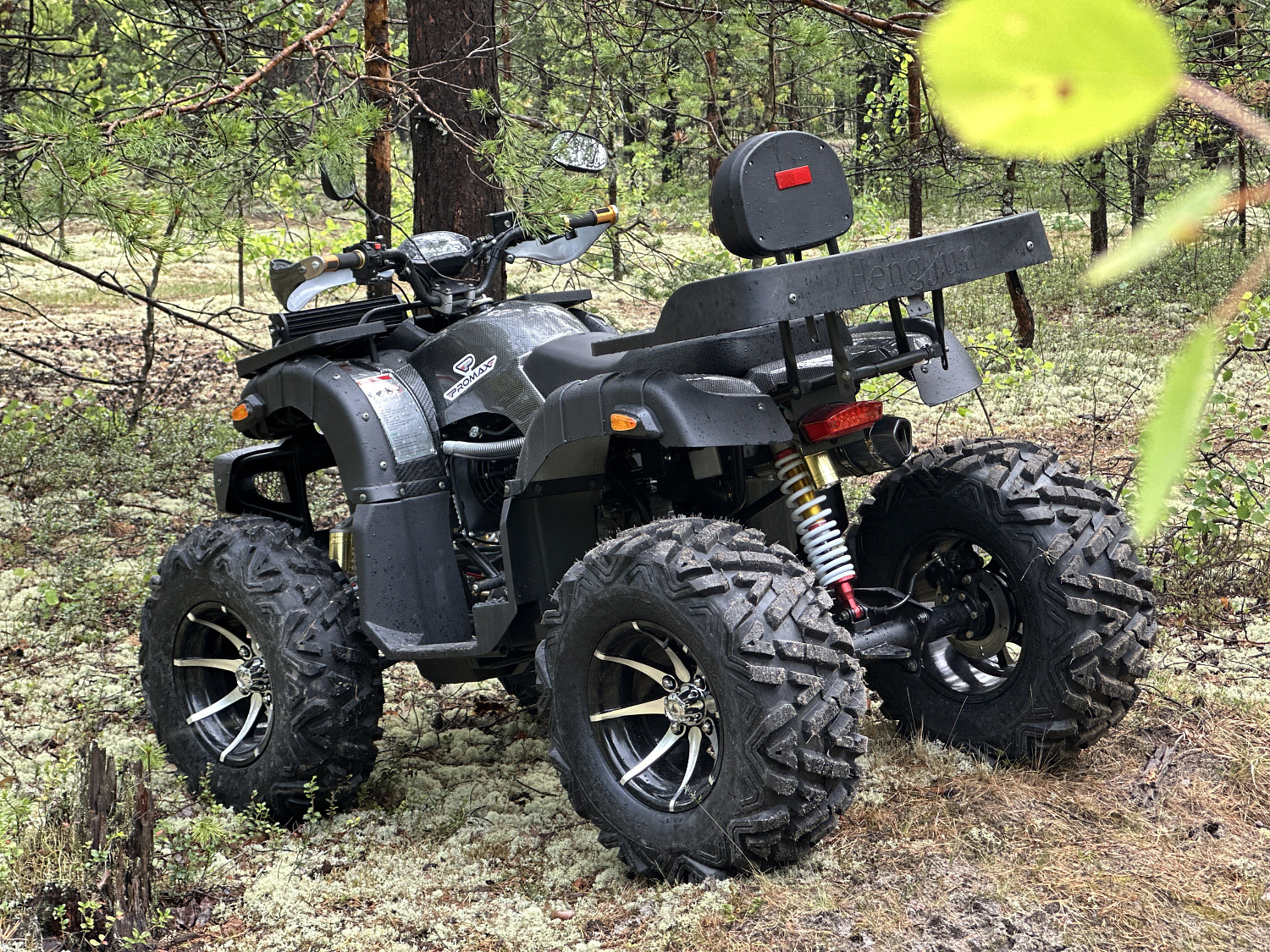 Квадроцикл PROMAX 320 DOMINATOR (2025) в Томске