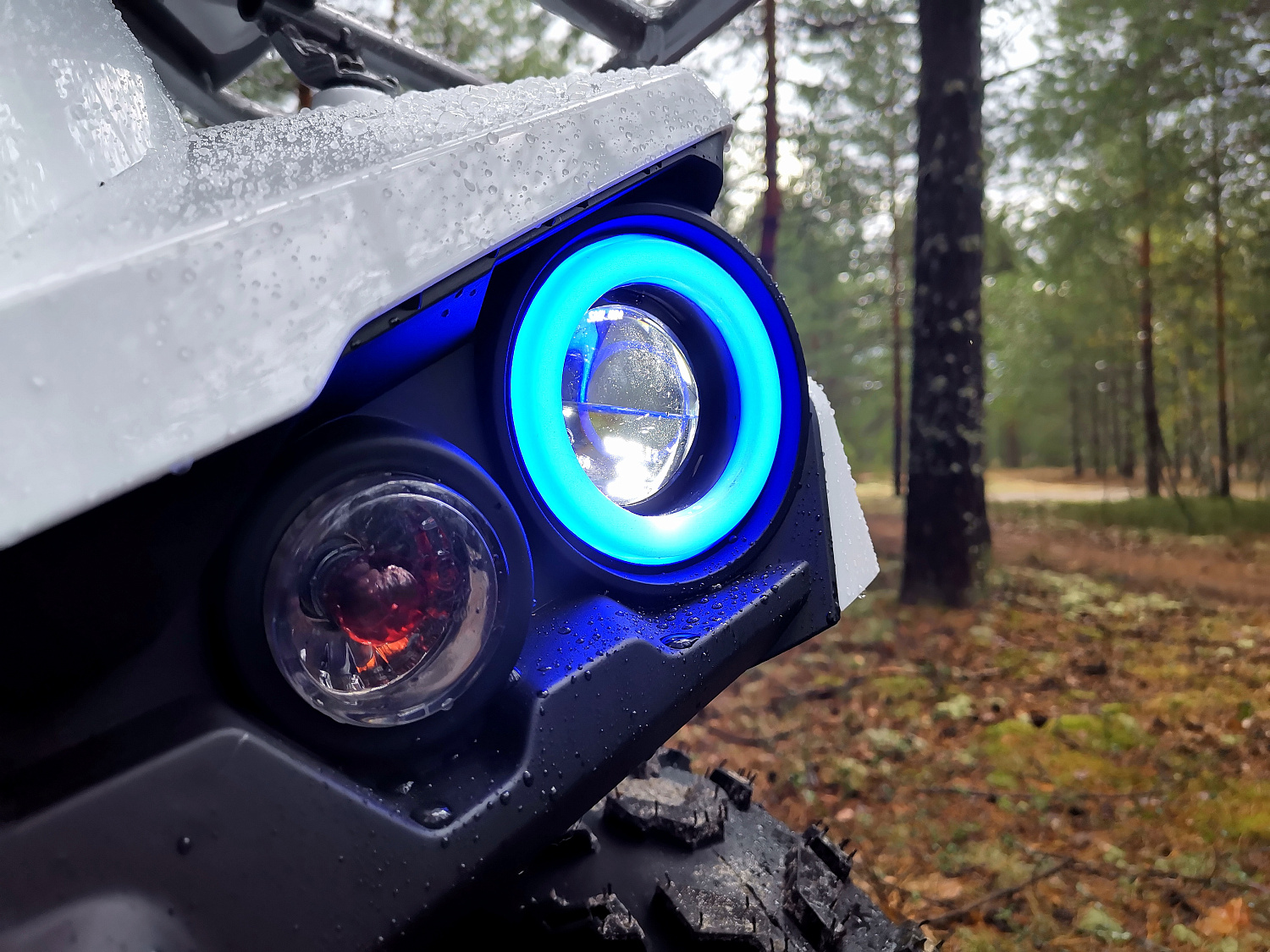 Квадроцикл PROMAX RENEGADE 280 (2025) в Томске