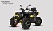 Квадроцикл PROMAX TAURUS 300 MAX-PRO LONG в Томске